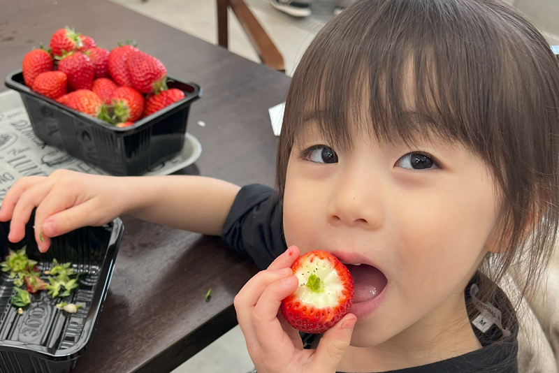 小児歯科治療の特徴イメージ